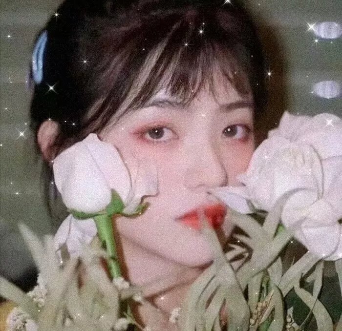 最后的武士